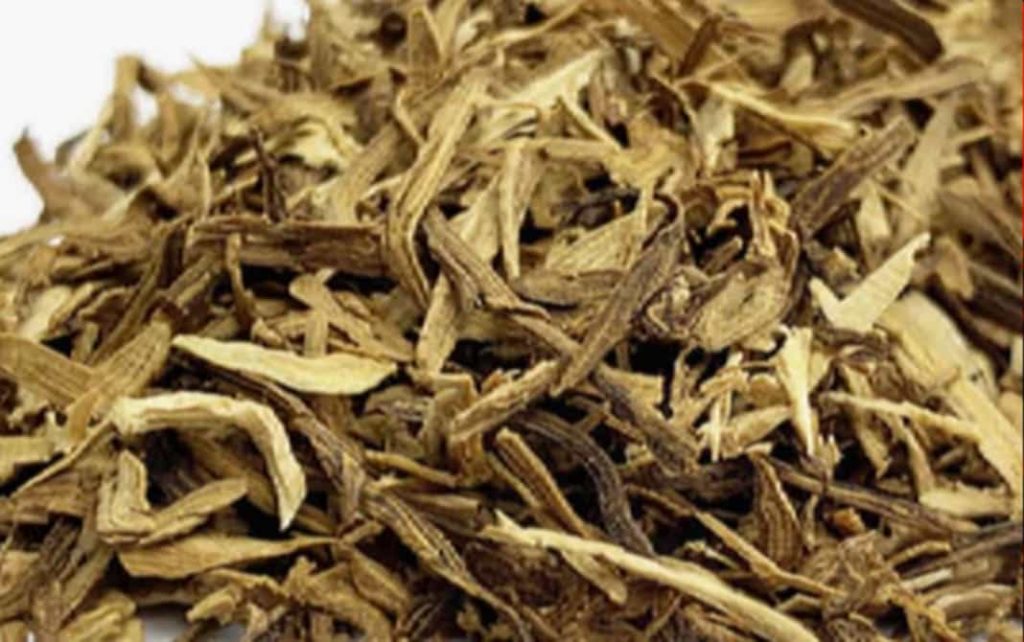 Close-up of expanded tobacco stems ready for processing